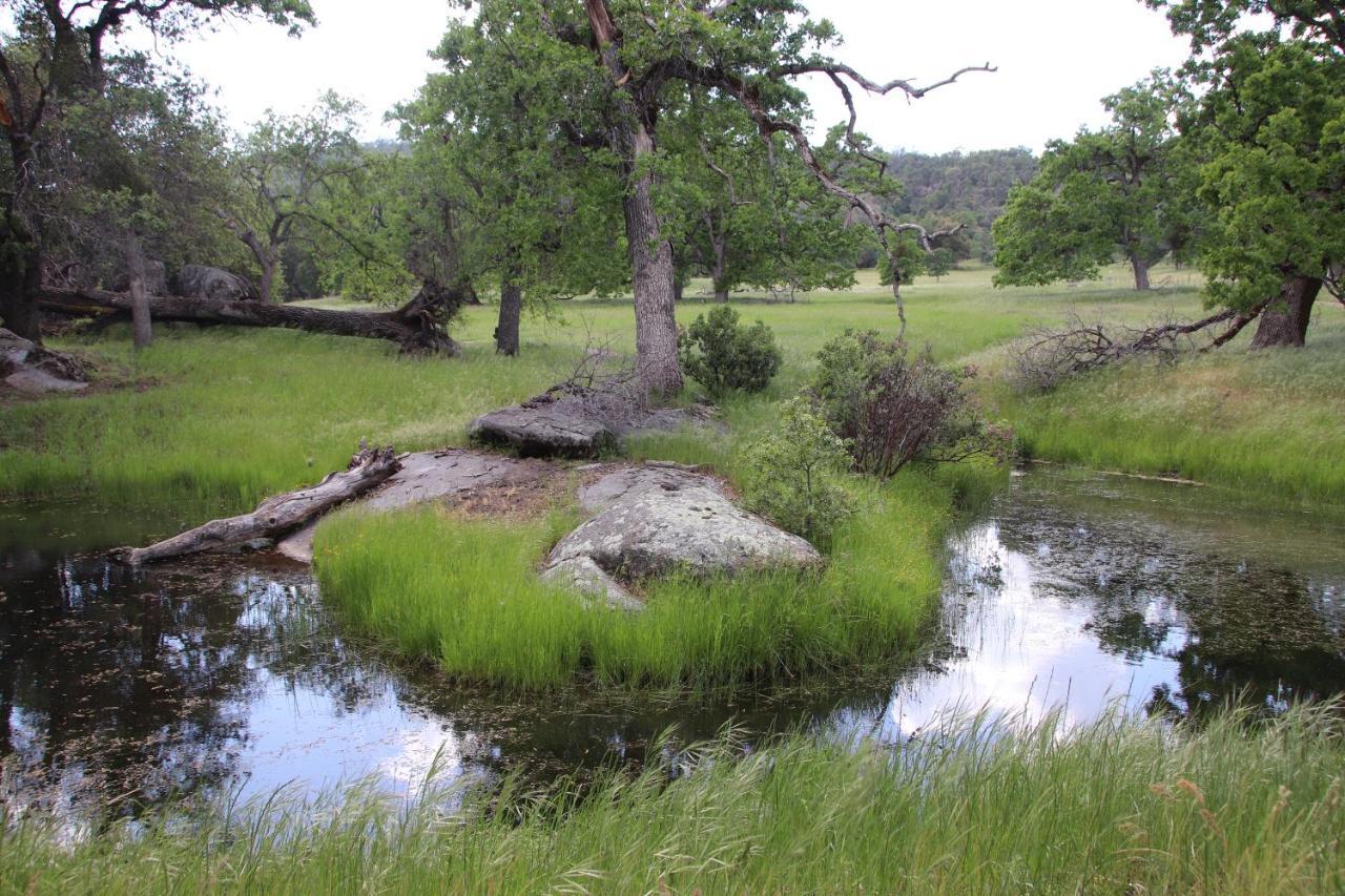 Casa Mariposa - A Foothill Retreat Near Yosemite Villa Екстериор снимка